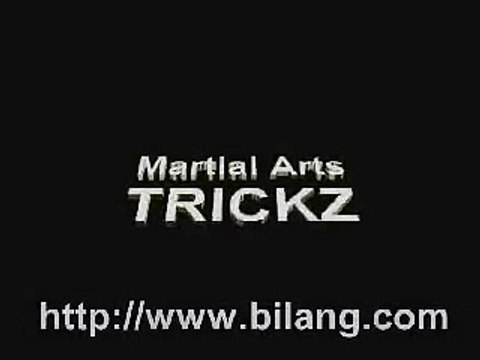 martial arts- capoeira floor demonstrations zeolee