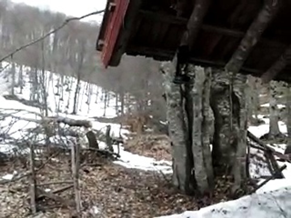 HUSKY