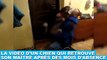 La vidéo d'un chien qui retrouve son maître après des mois d'absence ! Tout de suite dans la minute chien #178