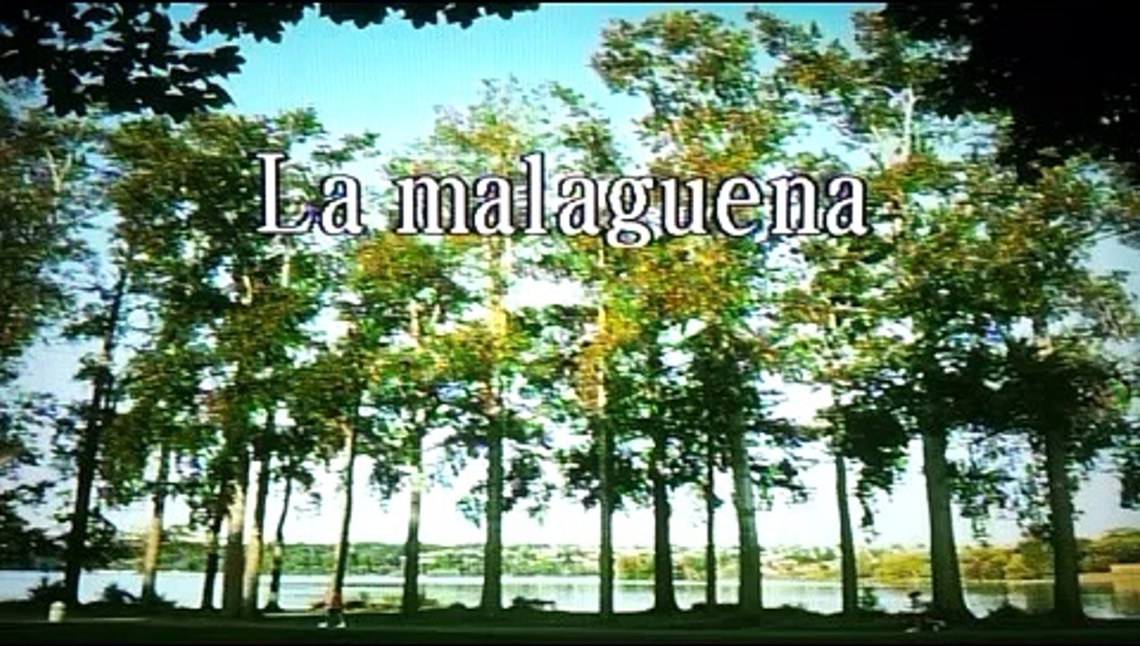 la malagueña - Trio Los Panchos  /전광용50년Soprano Saxophone색소폰연주동영상