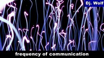 Dj. Wolf: frequency of communication