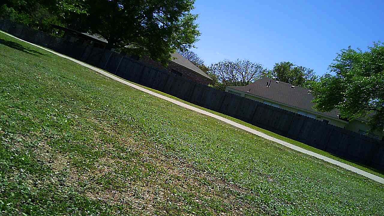 Drone at the park 4