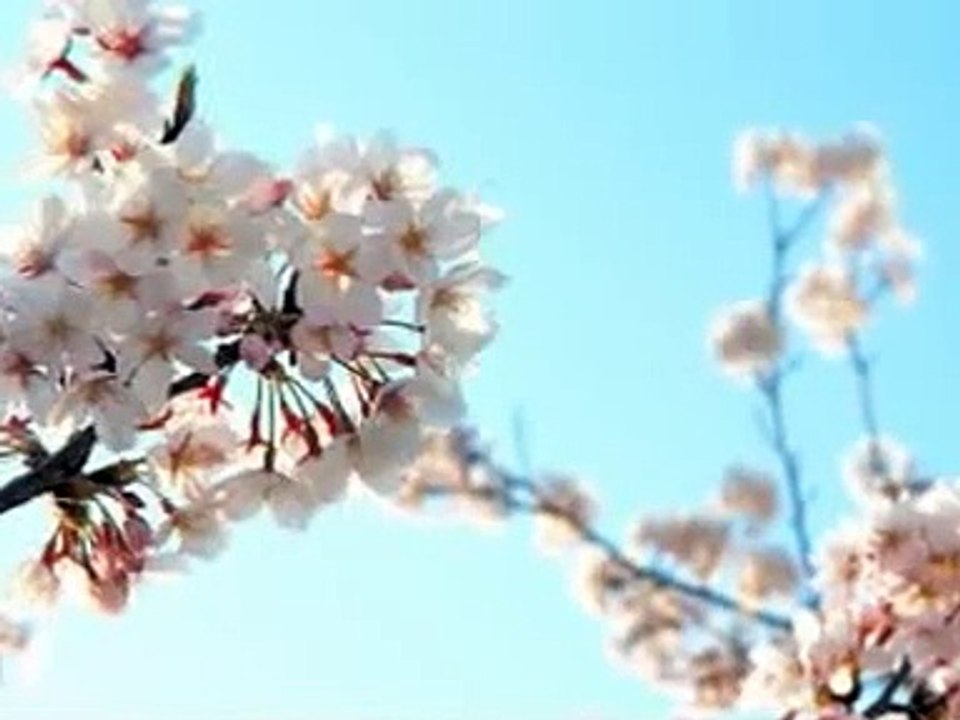 いつの日か（原曲ショパン　別れの曲）　小津ジャスティス