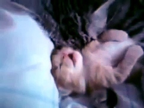 Kittens And Puppies Playing With Babies Compilation
