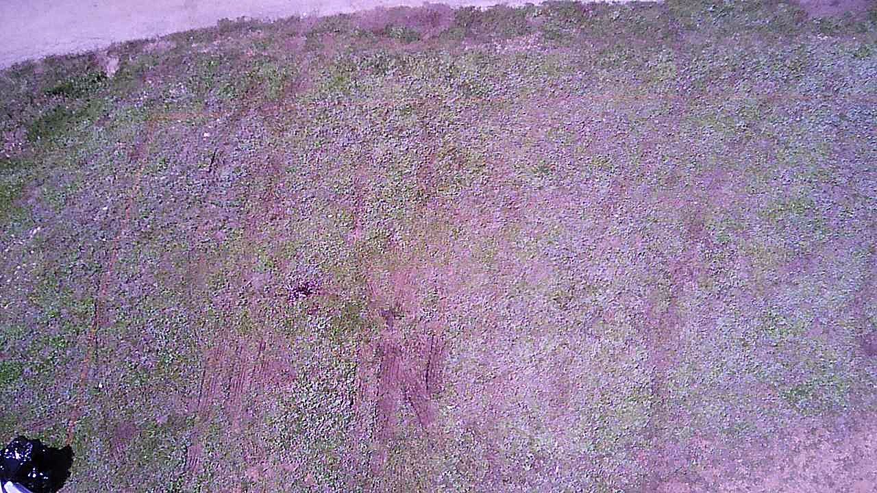 drone at the park 3