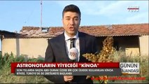 Kinoa Tohumu Sipariş kinoatohumuaş.com