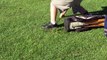 Deux intellos se battent sur un terrain de golf