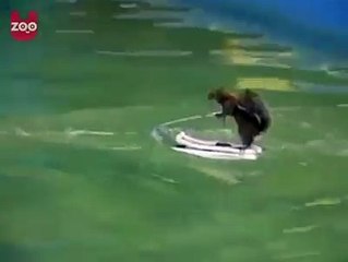 Müzikle Bir Başka oluyor...