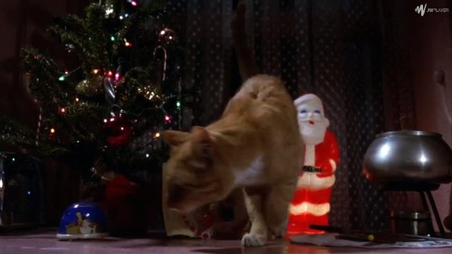 Selina Kyle is Catwoman