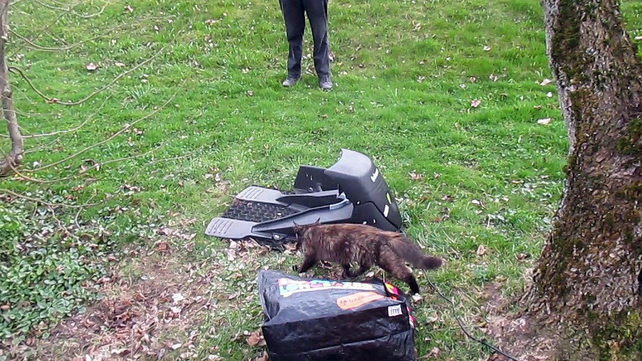 2.4.2016 : La minette visiteuse inspecte la station de base de la tondeuse robot