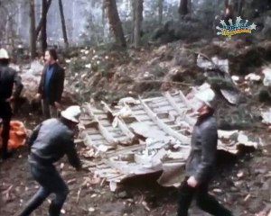 THY 981 Sayılı Seferin Kaza Sonrası Görüntüleri (1974)