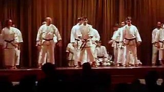 Karate-Do Miyazato Piñan 4* (Centro Okinawense 2008)