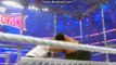 Wrestlemania 32 The Undertaker Tombstone Piledriver and defeat Shane
