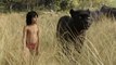 The Jungle Book (2016) || Stars by Neel Sethi, Bill Murray, Ben Kingsley