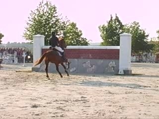 Grand Prix + puissance 127