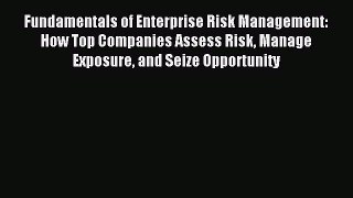 Read Fundamentals of Enterprise Risk Management: How Top Companies Assess Risk Manage Exposure