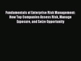 Read Fundamentals of Enterprise Risk Management: How Top Companies Assess Risk Manage Exposure