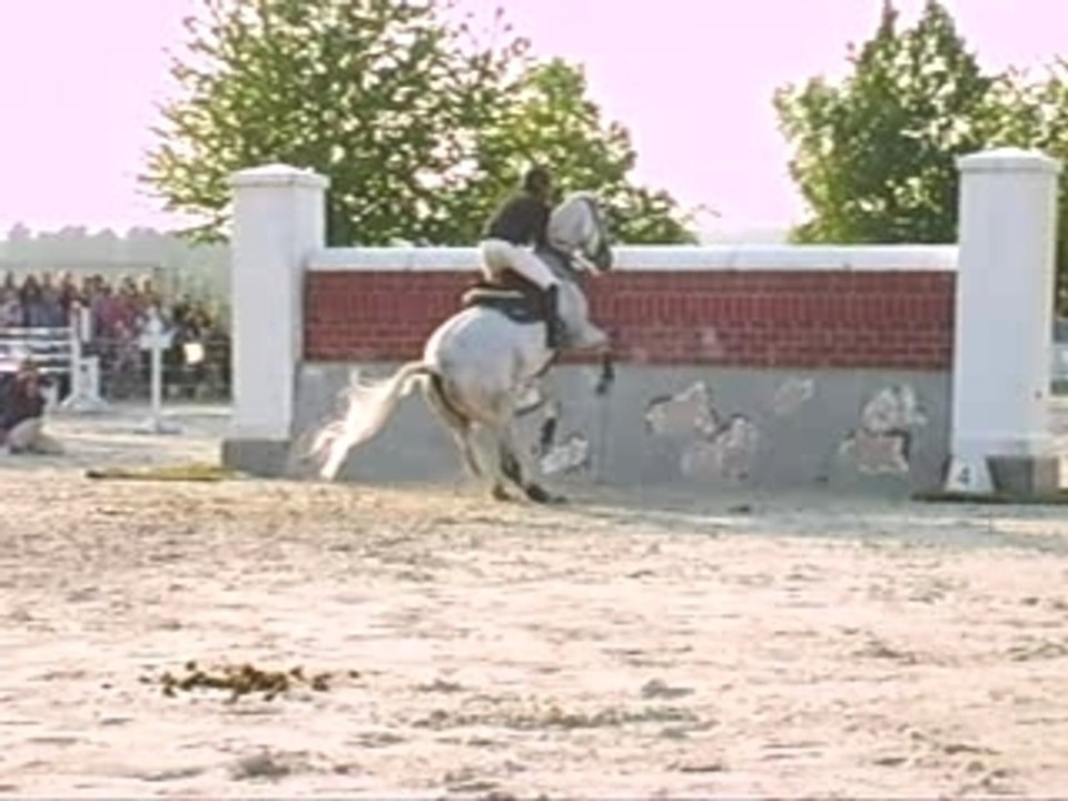 Grand Prix + puissance 132