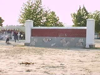 Grand Prix + puissance 133