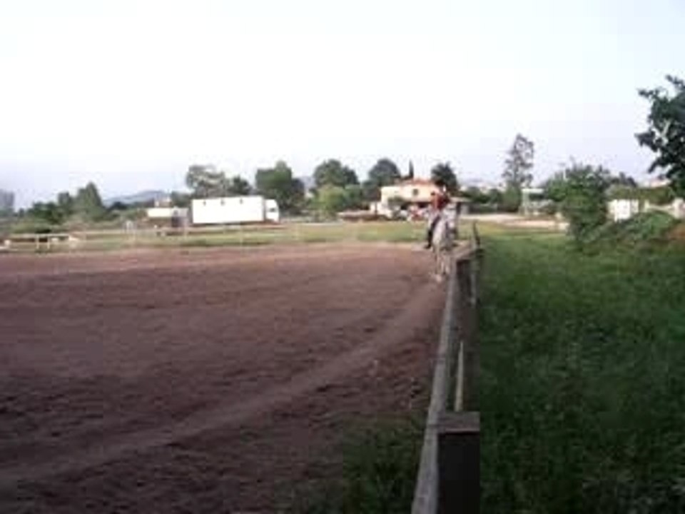 Poney mirou