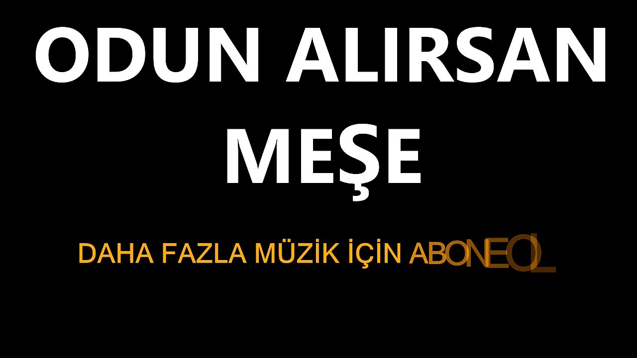 ODUN ALIRSAN MEŞE