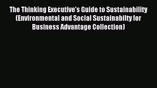 Read The Thinking Executive's Guide to Sustainability (Environmental and Social Sustainabilty