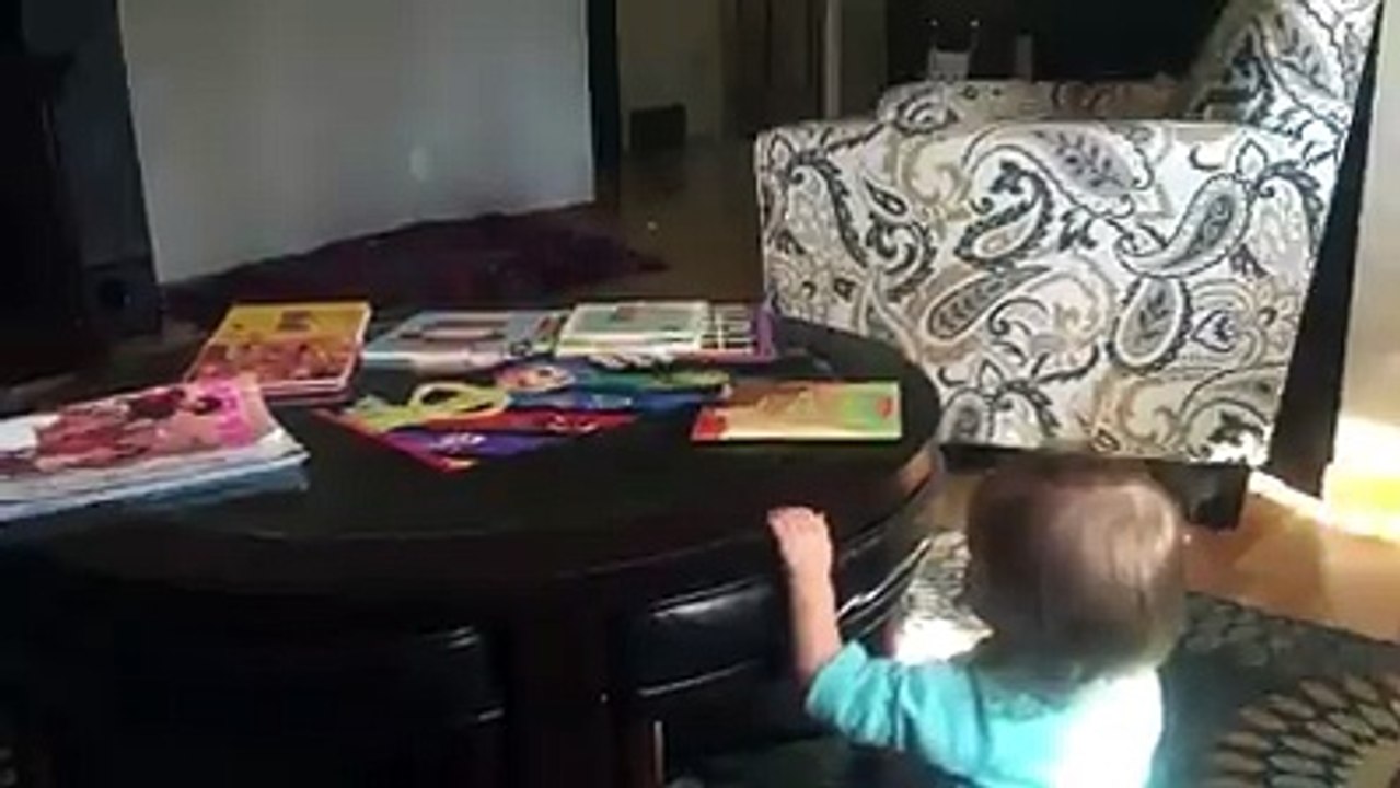 Puppy Plays Peekaboo