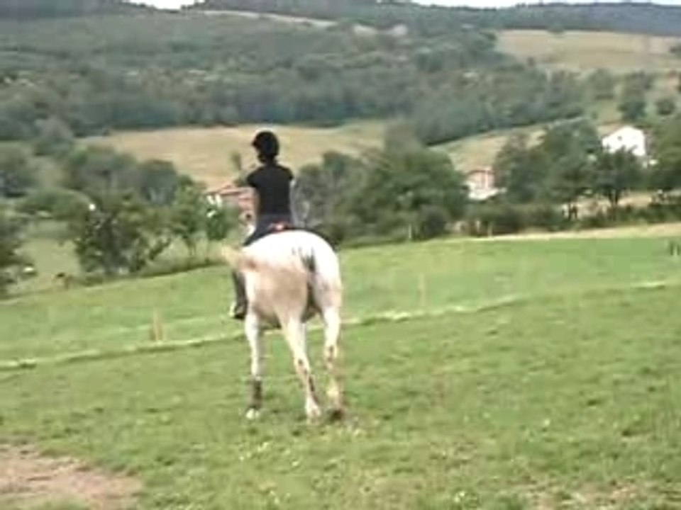 CLIP0027
