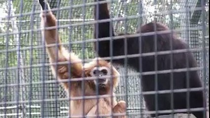 When Your Friend Just Won't Stop Talking