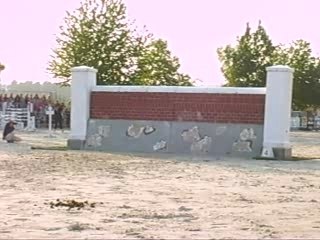 Grand Prix + puissance 137