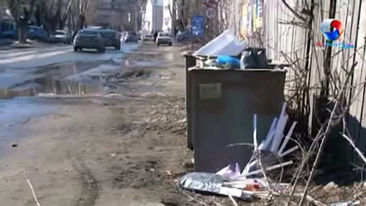 ОНФ: В центре Томска вновь обнаружены останки животных