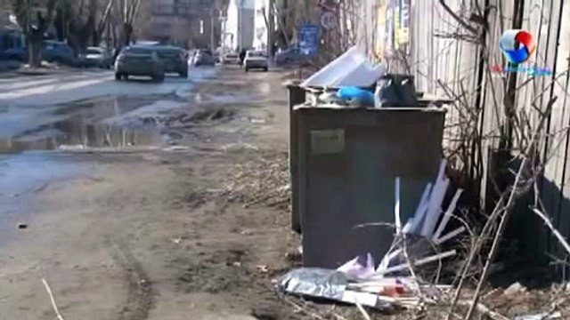 ОНФ: В центре Томска вновь обнаружены останки животных