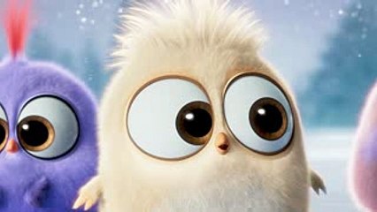 04. The Angry Birds Movie - Season s Greetings from the Hatchlings!