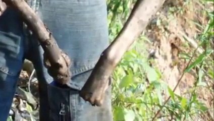 Incredible Creature found in Brazil Fields, Creature or Alien?