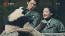 《我们相爱吧》魏大勋 李沁最后的任务 为熊猫宣传片配音 160403