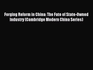 Read Forging Reform in China: The Fate of State-Owned Industry (Cambridge Modern China Series)