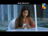 Gul-e-Rana Last Episode 21 on Hum Tv in High Quality 2nd April 2016