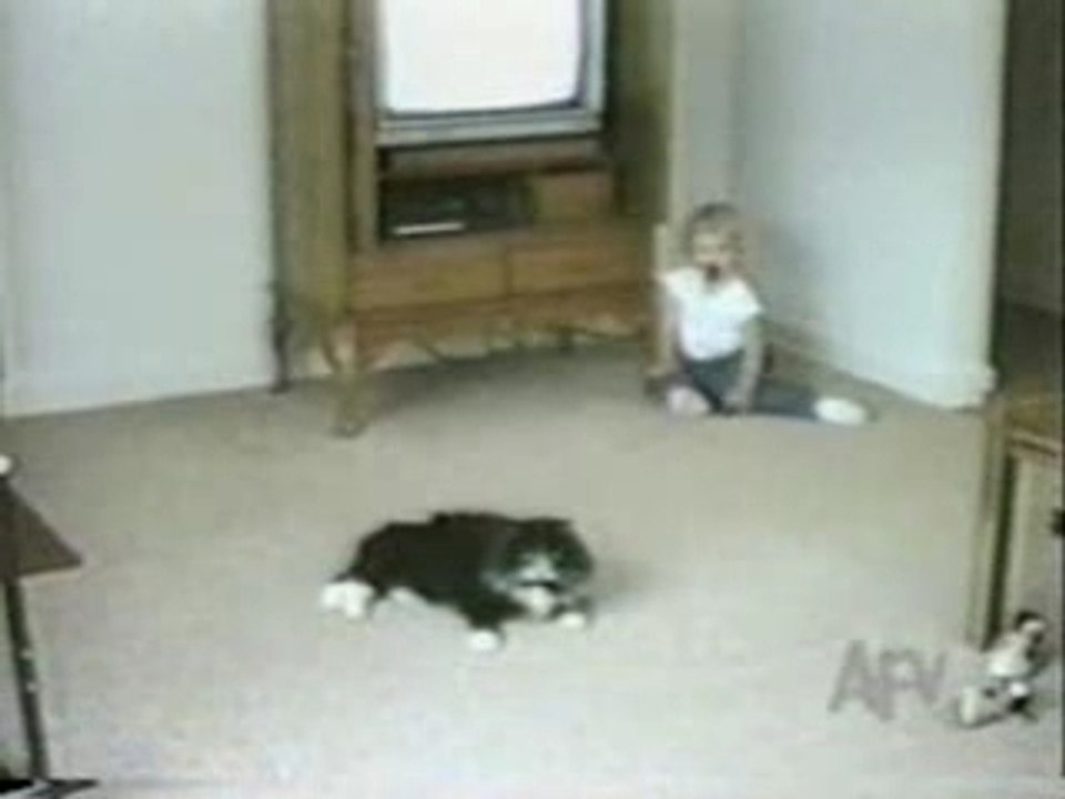 Compil Bébé Enfant avec Animaux "drole"