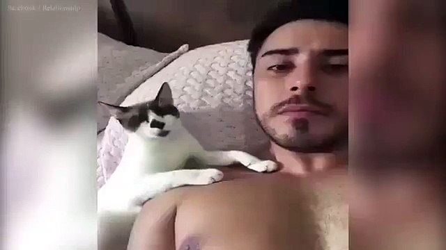 Paw-sitively adorable cat keeps planting kisses on owner