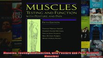 Read  Muscles Testing and Function with Posture and Pain Kendall Muscles  Full EBook