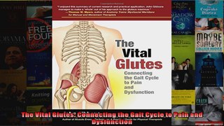 Read  The Vital Glutes Connecting the Gait Cycle to Pain and Dysfunction  Full EBook