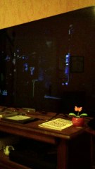 vidéo télé du 03 04 2016 de Dany ex