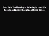 Read Soul Pain: The Meaning of Suffering in Later Life (Society and Aging) (Society and Aging