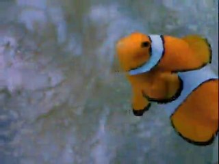 Baby Einstein - Baby Dolittle - World Animals