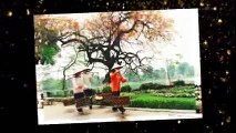 WELCOME TO VIETNAM | HANOI - DANANG - SAIGON