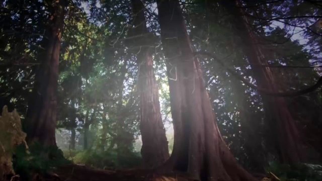 Ella Enchanted Movies 2004 - Anne Hathaway part 03