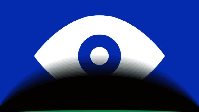 11 informations étonnantes sur nos amis les chats