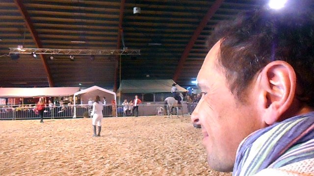 Démonstration de voltige au salon du cheval à Hannut