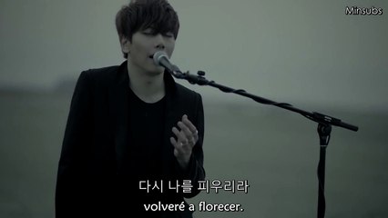 Park Hyo Shin ~ Wild Flower MV [Sub español+hangul]