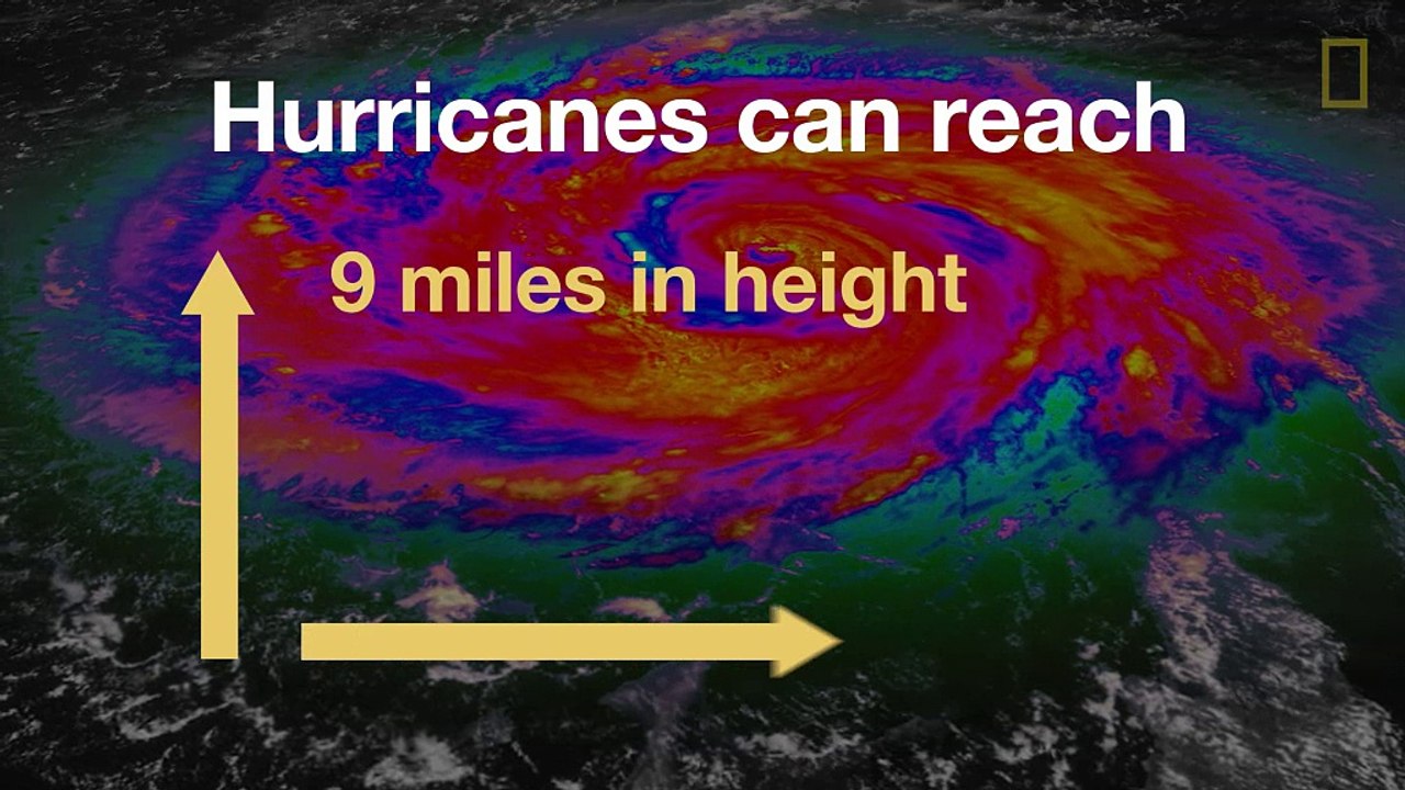 Hurricanes